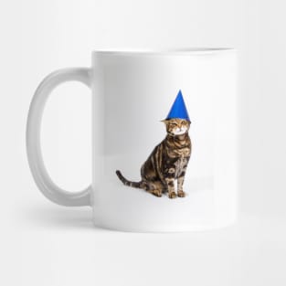 My Cat, in a Hat Mug